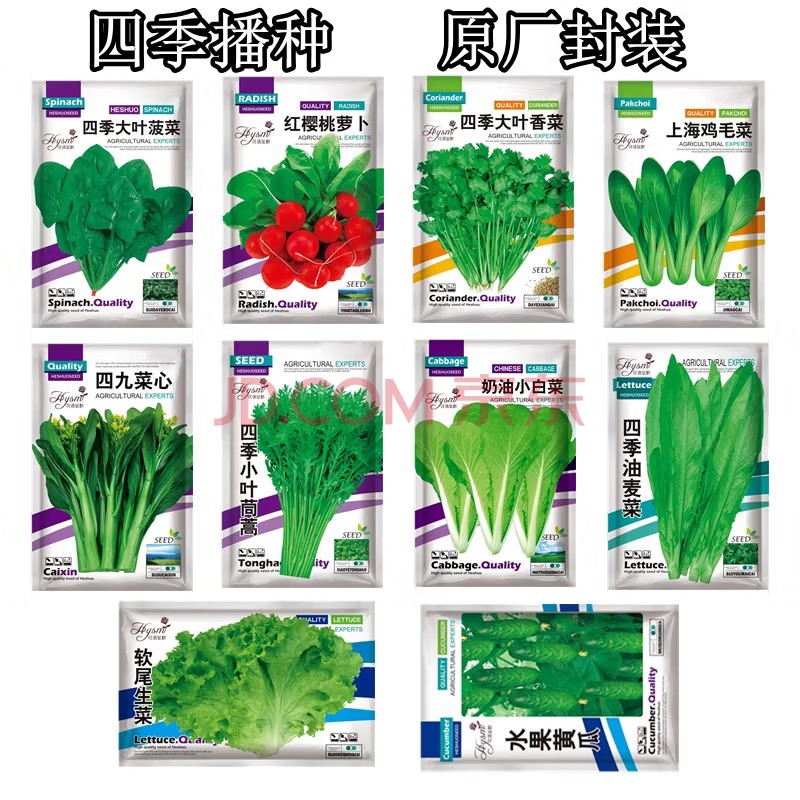 10种蔬菜种子四季播种青菜菠菜萝卜香菜