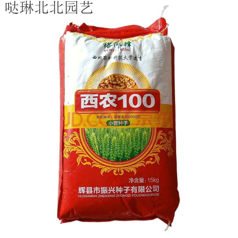 哒琳北北【西农100】国审麦半冬性矮杆抗倒抗病高产早熟小麦种子