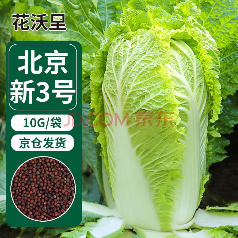 花沃里北京新三号大白菜种子10g/袋